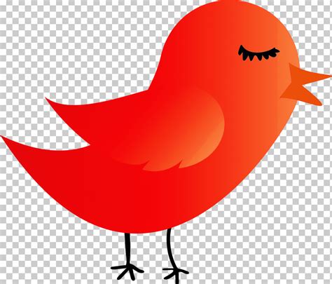 Red Bird Beak Png Clipart Beak Bird Cartoon Bird Cute Bird Red