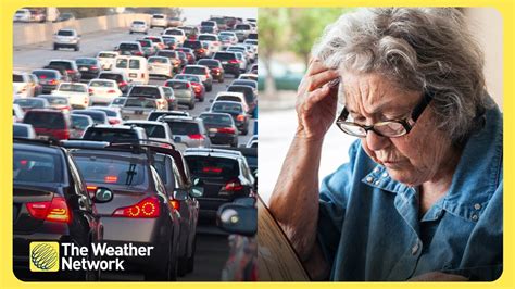 Risk Of Dementia Linked To Traffic Pollution New Study Youtube