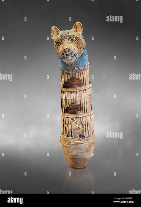 Ancient Egyptian Cat Mummy 664 332 Bc Louvre Museum Inv N2678ccat
