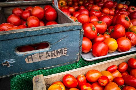 Displayed Red Ripe Tomatoes Photograph By Dina Calvarese Fine Art America