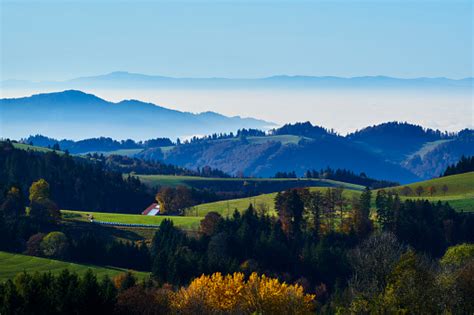 Black Forest Mountains In Germany Free Photo On Barnimages