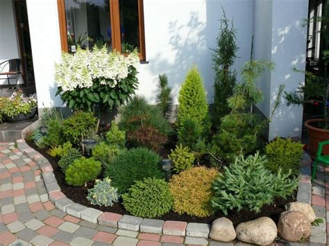 In european countries, the search for brooms on conifers is some dwarf varieties of conifers at a young age are similar to each other, and distinguishing them i dream of planting a blue spruce in the garden, but i was told that its size would deprive a small. Pin by Jenn Jurgiewicz on Conifers | Shrubs for ...