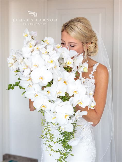 White Orchid Bridal Bouquet Orchid Bridal Bouquets Tropical Wedding Bouquets Bride Flowers