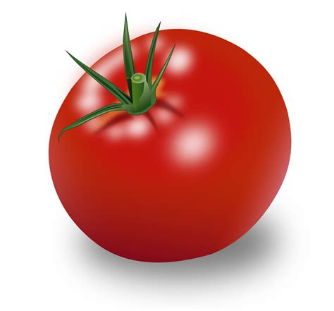 Clipart Tomate