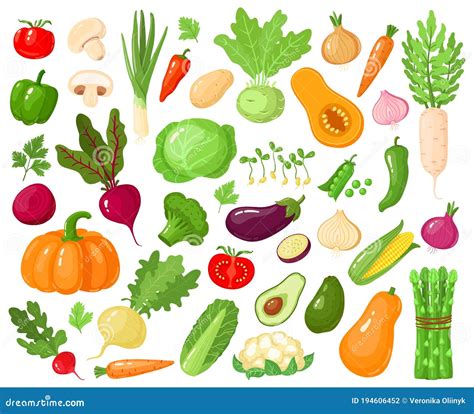 Verduras De Dibujos Animados Vegetales Vegetales Alimentos Calabaza De Tomate Zucchini Y