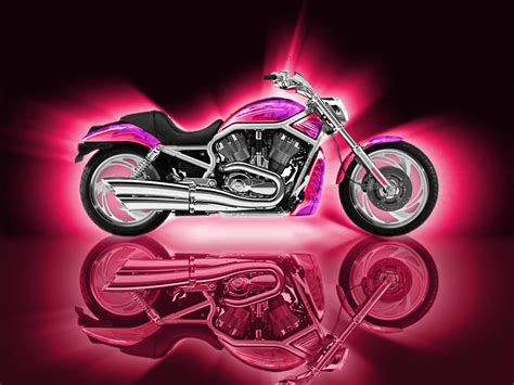 girls pink motorcycle steel cowgirl pinterest pink motorcycle harley davidson and cars