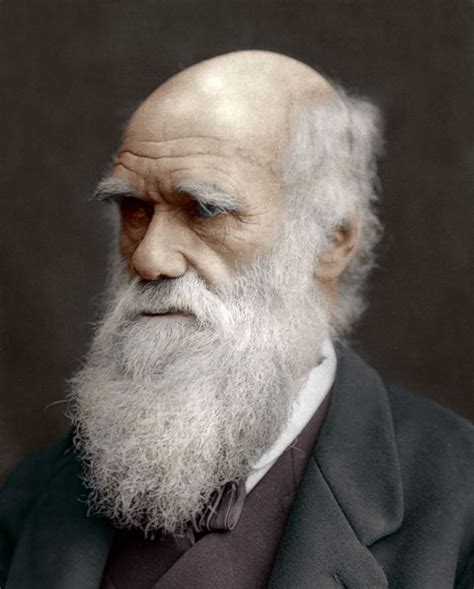 찰스 다윈에 대한 5가지 흥미로운 사실
