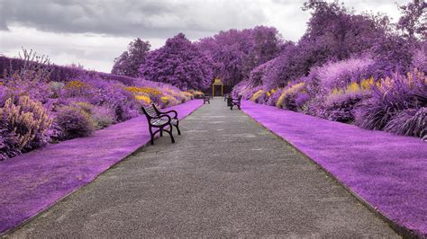 1920x1080 Resolution Belfast Botanic Gardens In Northern Ireland 1080p