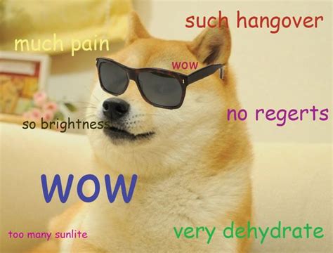 Doge Meme Much Wow Dog Funny Shiba Inu Meme