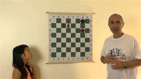 how to checkmate with 2 bishops chess for beginners youtube