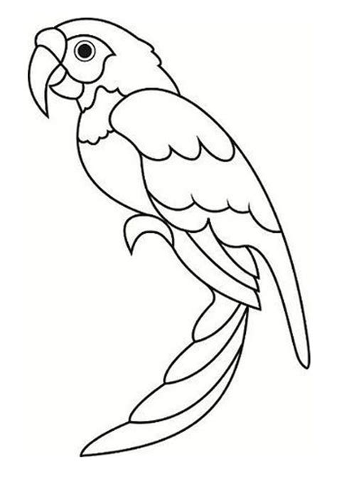 Coloring Pages Free Printable Parrot Coloring Pages