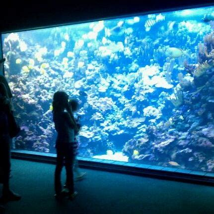 Maybe you would like to learn more about one of these? Maui Ocean Center, The Hawaiian Aquarium - 66 tips