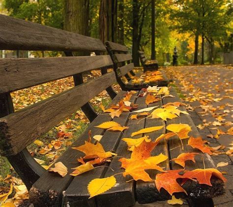 Bench Autumn Wallpapers Wallpaper Cave