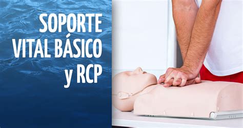 Soporte Vital Básico Y Rcp Subacuáticas Real Sociedad