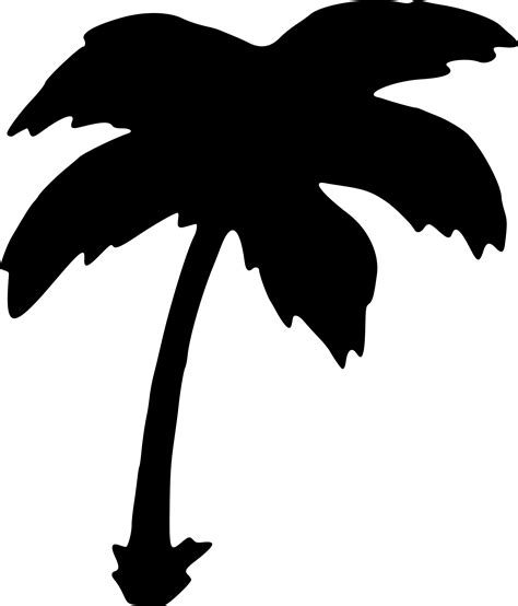 Palm Tree Silhouette Transparent At Getdrawings Free Download