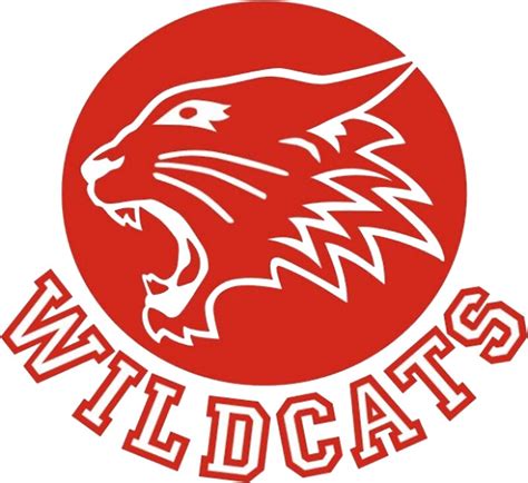 Wildcats High School Musical Stickers By Karen Cho Redbubble