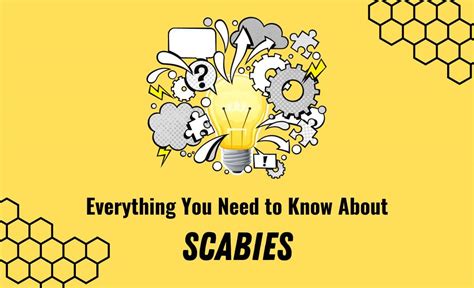 Everything You Need To Know About Scabies Resurchify