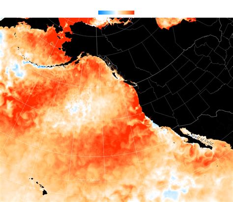 The Marine Heat Wave Known As The ‘blob Is Back In The Pacific