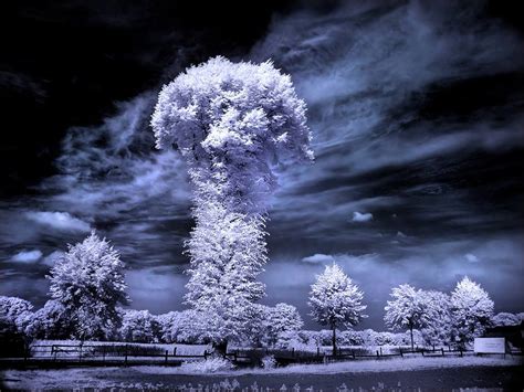 To check if your ir remote is sending a signal, follow the steps below Infrared Photography of Nature - XciteFun.net