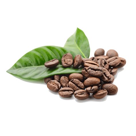 Coffee Beans Leaves Transparent Png Stickpng