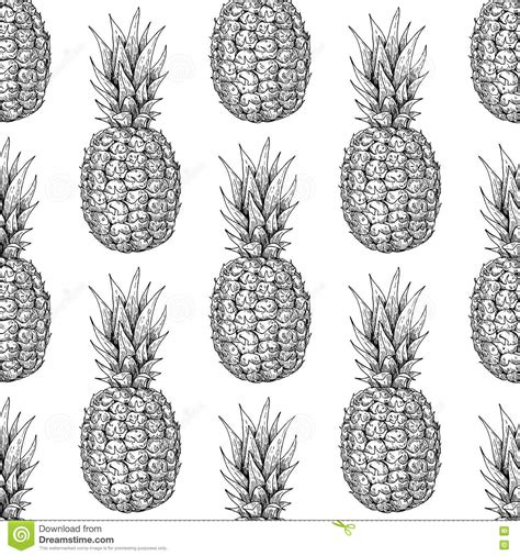 Vector Hand Drawn Pineapple Seamless Pattern Tropical Summer Fruit