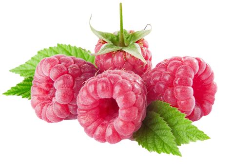 Raspberries Png Clipart Best Web Clipart