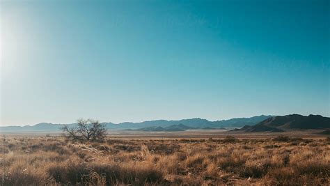 Desolate Arizona Desert Landscape By Stocksy Contributor Daniel Lies