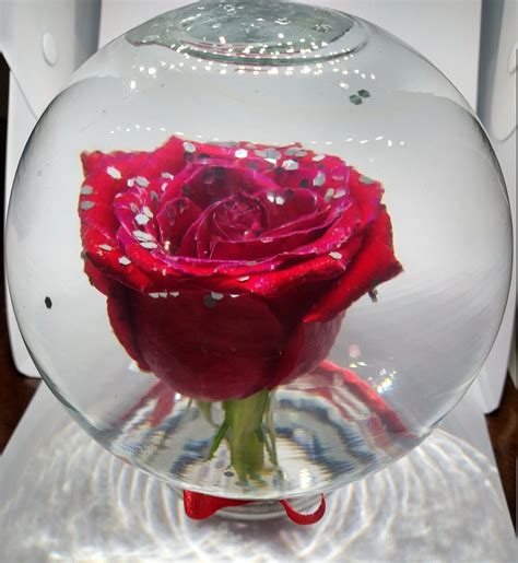 Infinity Rose Glass Globe Where To Buy Rose Globes For Valentine S Day Popsugar Love Uk Photo 14