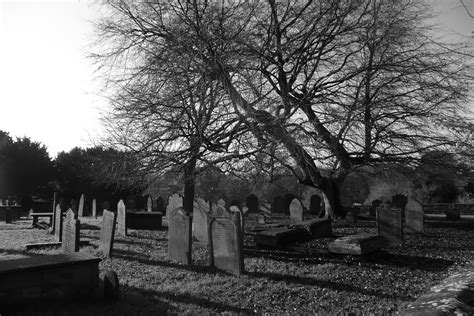 Burial Ground Free Stock Photo Public Domain Pictures
