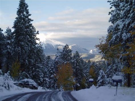 Our columbine suites make a great accommodation choice for families. Woodland Park, CO the morning after a fresh dusting of ...