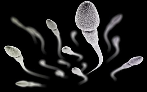 Sperma Encer Dan Kesuburan Pada Pria Doktersehat