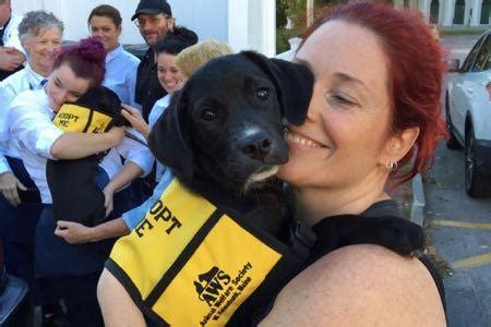 Animal Welfare Society Reviews and Ratings | West Kennebunk, ME