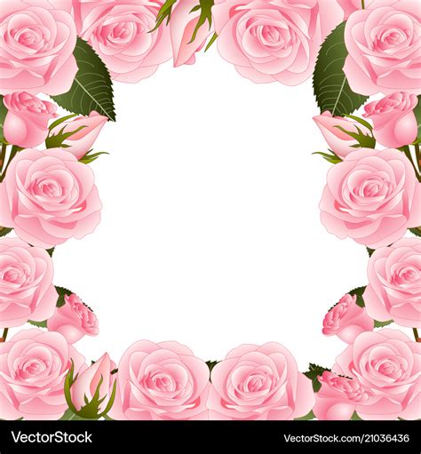 Pink Rose Flower Frame Border Royalty Free Vector Image