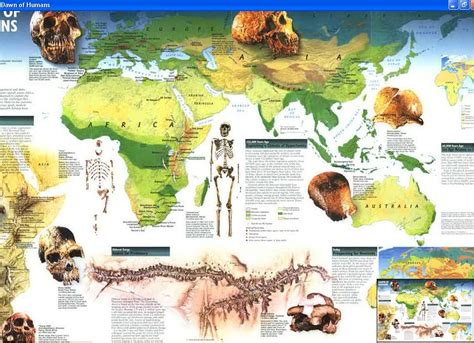Map Human Evolution All Humans On Earth Originated From