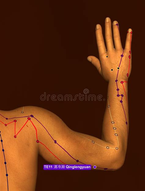 Behandla Med Akupunktur Punkt Te11 Qinglengyuan 3d Illustrationen