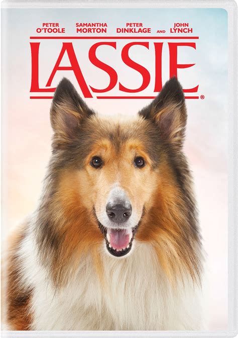 Buy Lassie Dvd Gruv
