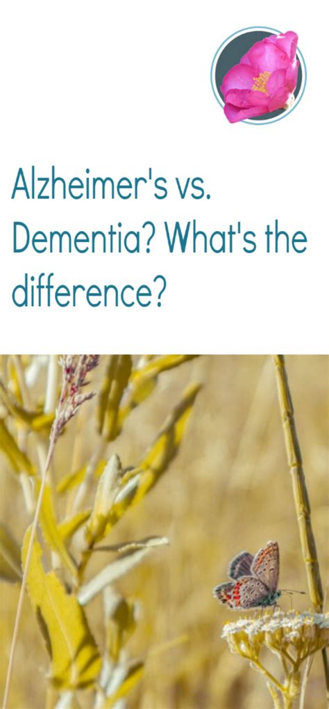 Alzheimer S Vs Dementia What S The Difference Artofit