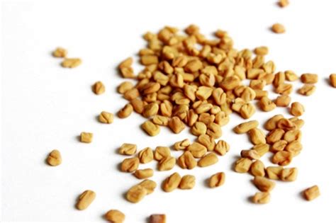 While the military said it took precautions to avoid harm to civilians during the air raids, the gaza health ministry reported 20 civilian deaths in the bombing late on monday night, among them nine children, in. Khasiat dan Efek Samping Halba