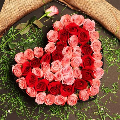 Flowers shipped in gift box. Send Flowers To Islamabad - Best Deals Offers For ...