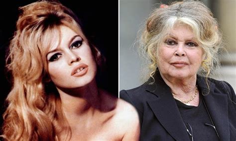 Fan account dedicated to brigitte bardot. Brigitte Bardot | Then and Now | Pinterest | Articles ...