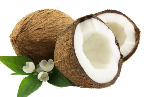 Coconut png images free download. DIY Coconut Leave-In Conditioner