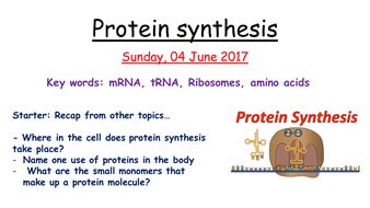 Yellow highlight = required component. AQA Biology 1-9 GCSE- DNA, protein synthesis and mutations | Teaching Resources
