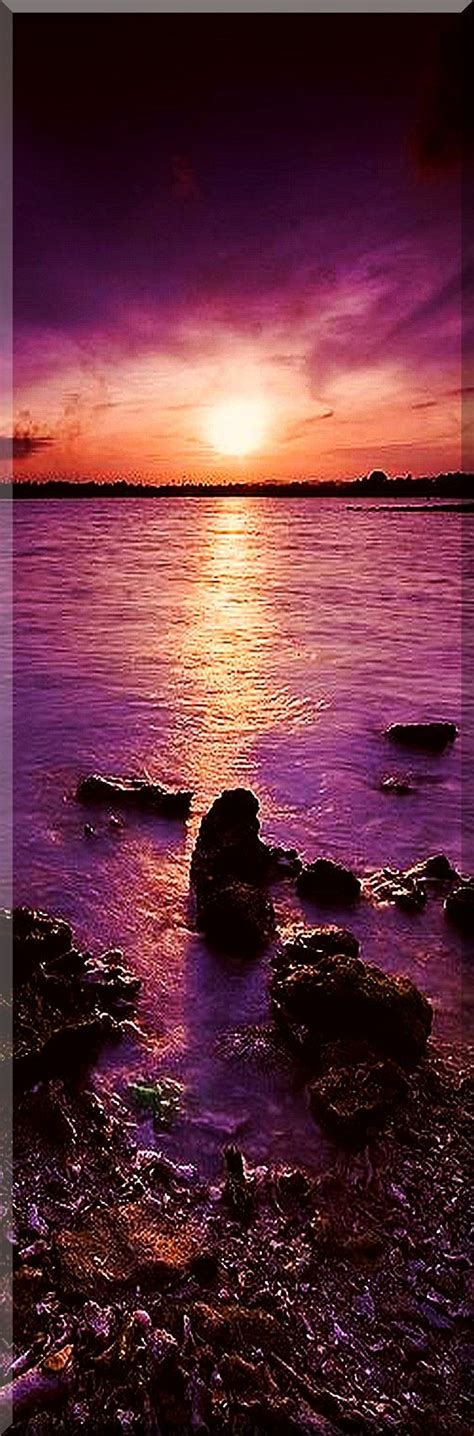 Amazing Sunset Scenery By Ojat Landscape Seascape Sky Purple Orange