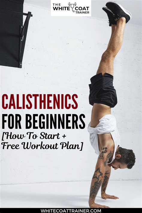 Calisthenics For Beginners How To Start Free Workout Plan Pdf
