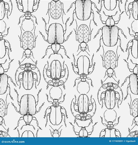 Hand Drawn Bugs In Vintage Style Seamless Pattern Beetles Vector