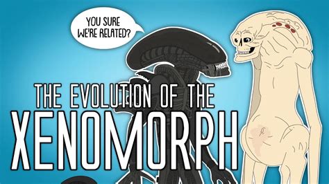 Evolution Of Xenomorph