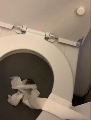 Girl S Plan To Flush Entire Toilet Paper Roll In Airplane Toilet Goes Wrong Jukin Licensing