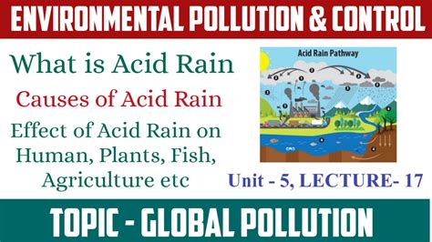 Acid Rain Causes Of Acid Rain Effects Of Acid Rain On Human Plants