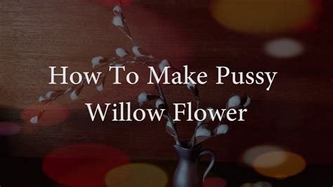 How To Make Pussy Willow Flower YouTube