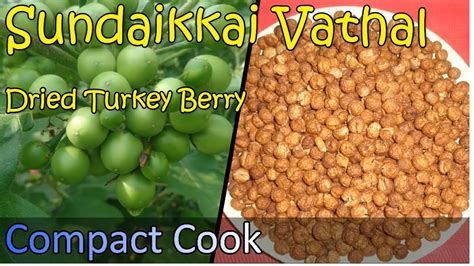 Sundakkai Vathal Recipe In Tamil சுண்டைக்காய் வத்தல் Dried Turkey